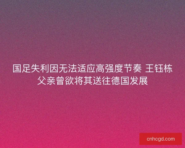 国足失利因无法适应高强度节奏 王钰栋父亲曾欲将其送往德国发展